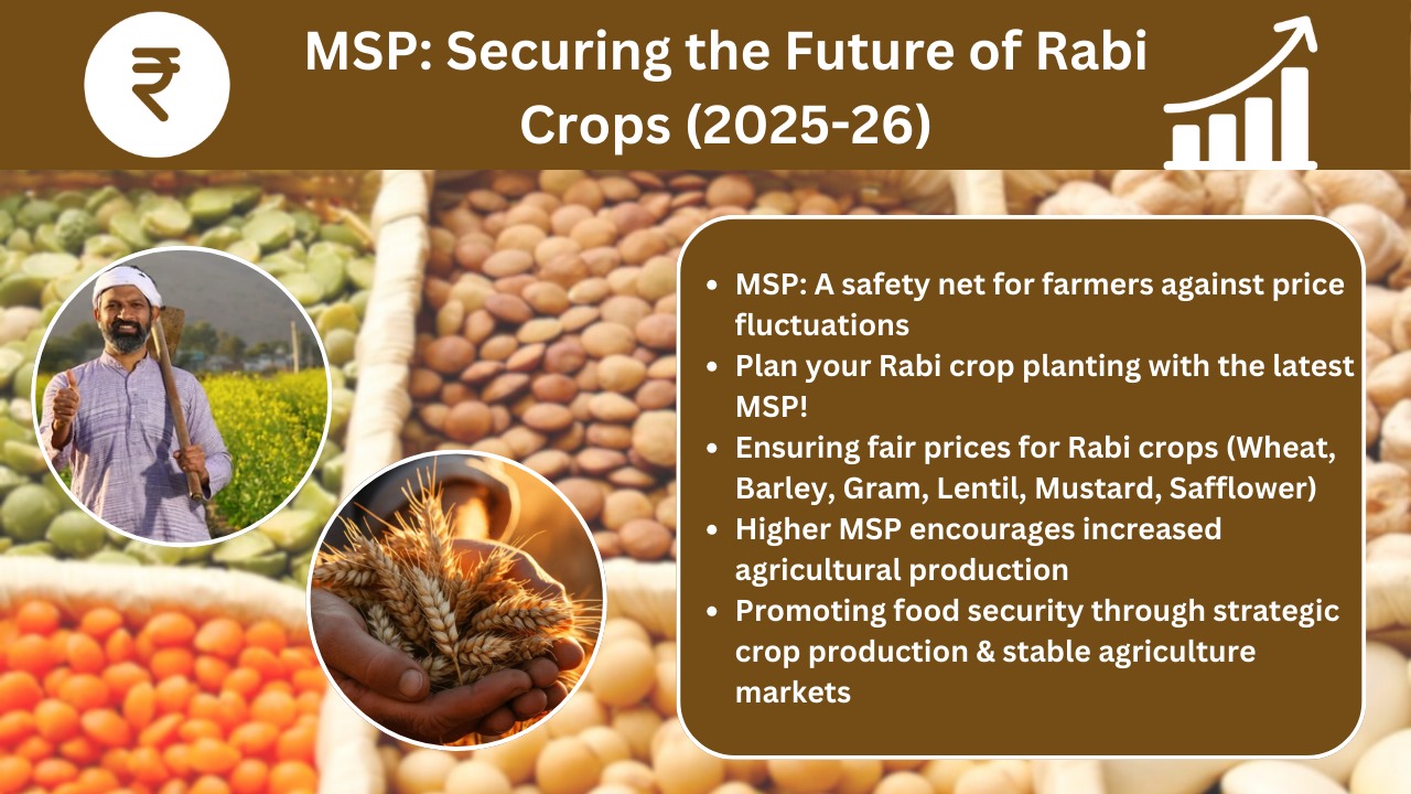 Impact of MSP on India’s Rabi Crops: 2025-26 Perspective