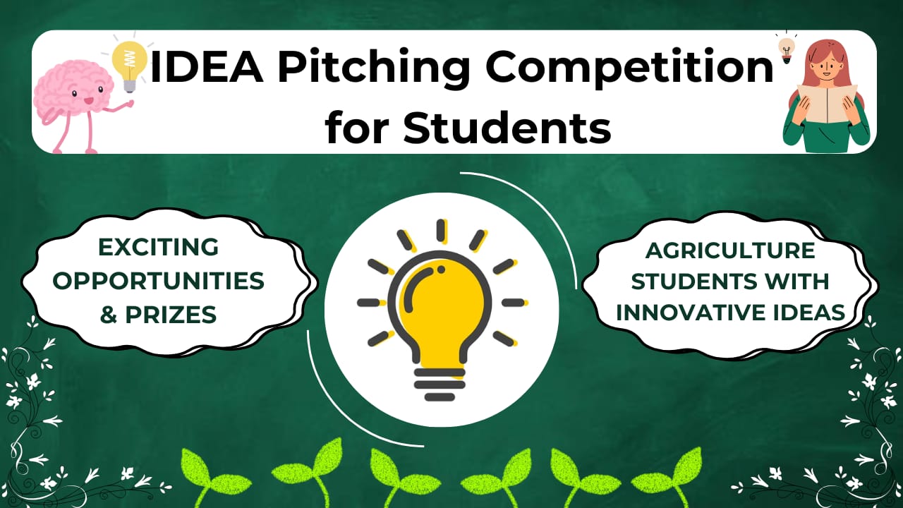 Idea Pitching Competition For Students